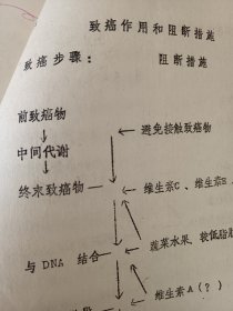 膳食与癌症 油印本 癌症与 主要污染物 比如 水源污染 洗漱用品污染 食品添加剂 食物固有成分 癌症与免疫力 与基因突变 与生活方式 与吃的食物变质 如霉菌毒素 生活厨房 板 碗 筷子 都有百分百关系 多学习癌症老资料能起到预防作用（可出售影印件）