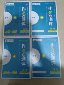 金版教程2023新教材人教版高中新课程学习作业与测评化学必修第二册