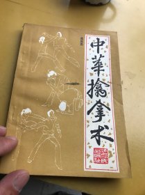 中華擒拿術(shù)