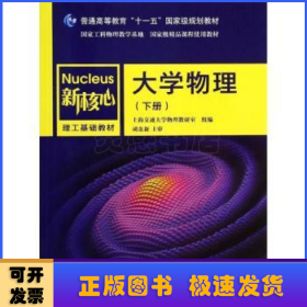 大学物理（下册）/普通高等教育“十一五”国家级规划教材·新核心理工基础教材