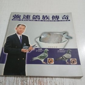 强速鸽族传奇