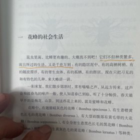 昆虫漫话/昨日书林