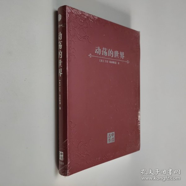 动荡的世界：风险，人性与未来的前景