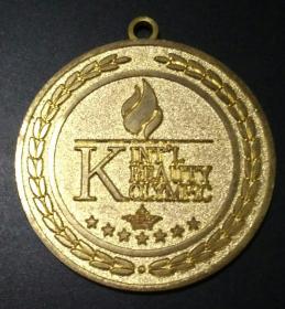 2017年韩国纪念章