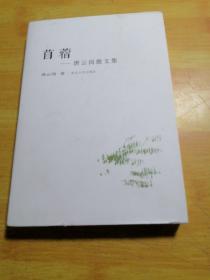 苜  蓿