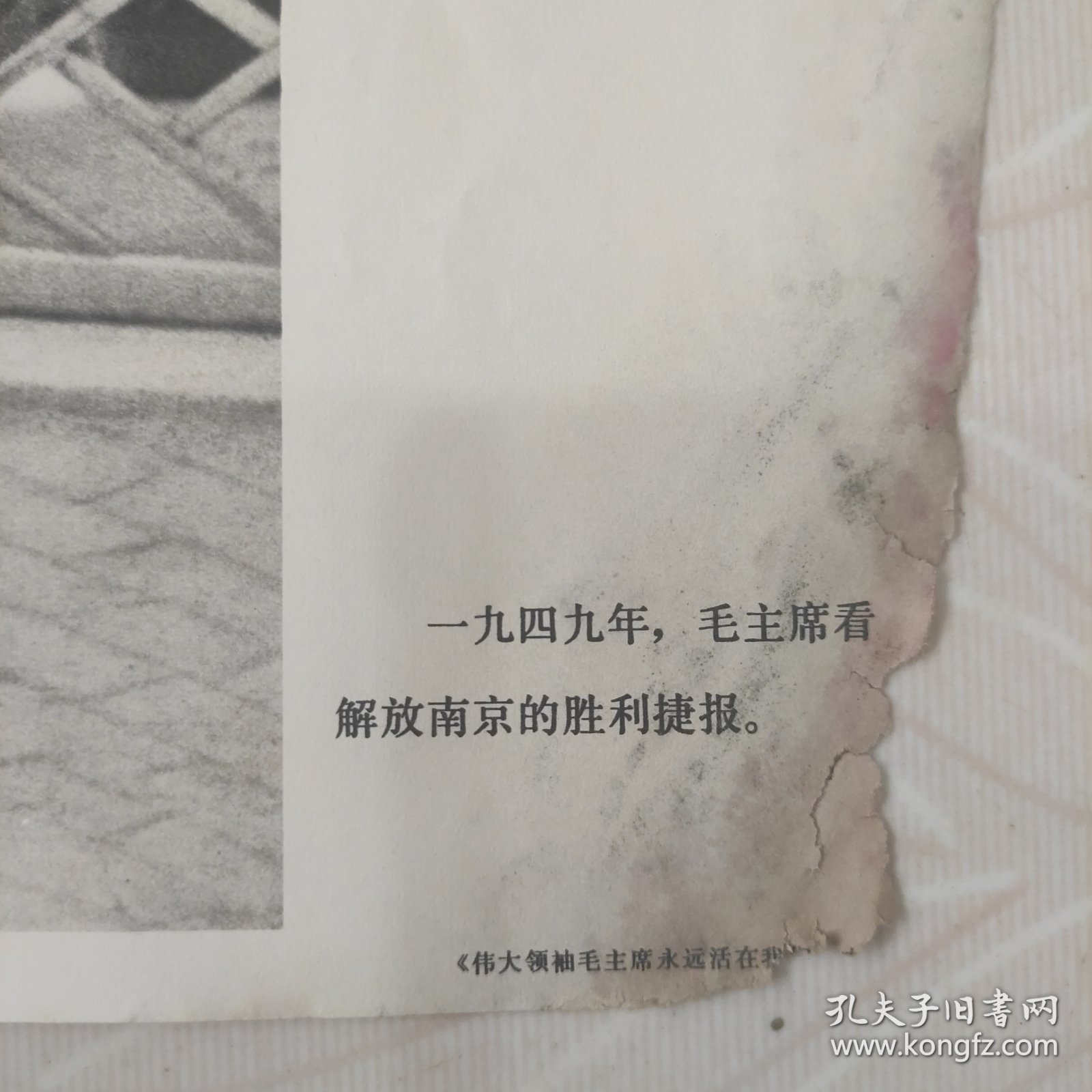 毛主席图像画片宣传画，1949年，毛主席看解放南京的胜利捷报，品相如图边角有破损。