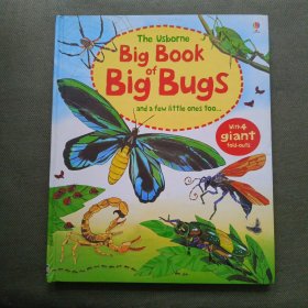 BigBookOfBigBugs