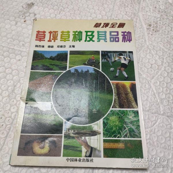 草坪全景：草坪草种及其品种