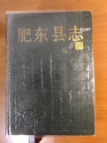 肥东县志（16开精装）