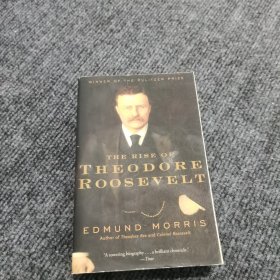 The Rise of Theodore Roosevelt