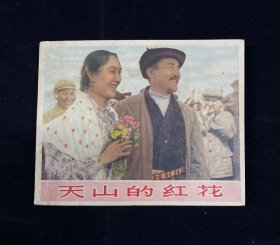 老电影【天山的红花】