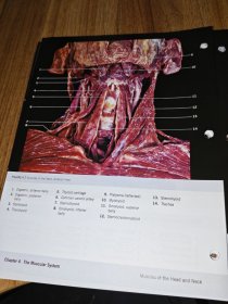 a photographic atlas for anatomy&physiology（解剖学和生理学的摄影图集）