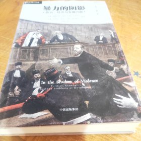 暴力的阴影：政治、经济与发展问题