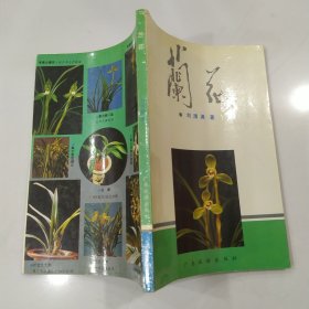 兰花（85品大32开1991年1版2印33000册135页11万字前录彩色图版广东旅游出版社版）59648
