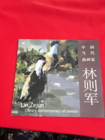 中國當(dāng)代油畫家 林則軍