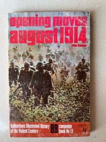Opening Moves: August 1914
