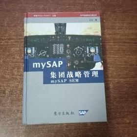 mySAP集团战略管理