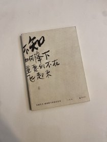 异想天开：蔡国强与农民达芬奇