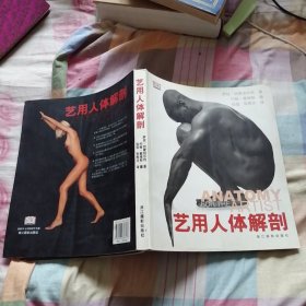 艺用人体解剖