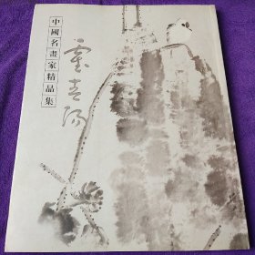 中国名画家精品选