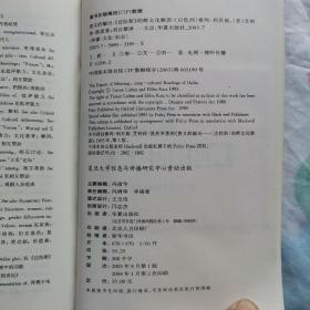 意义的输出：《达拉斯》的跨文化解读