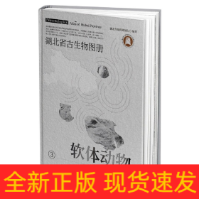 湖北省古生物图册(3软体动物)(精)