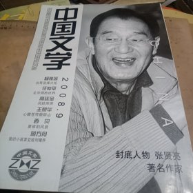 中国文学2008—9