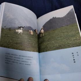鹅鹅鹅 二东签名题词本