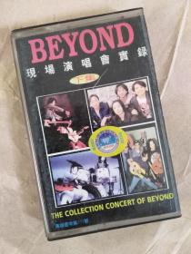 BEYOND现场演唱会实录（下）