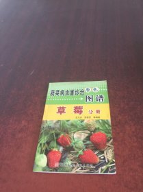 蔬菜病虫害诊治原色图谱：草莓分册