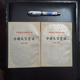 中国文字学史（上下），正版库存书，未翻阅的