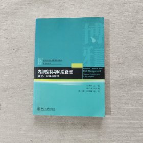 内部控制与风险管理 理论、实践与案例