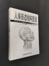 人體形態(tài)結(jié)構(gòu)圖譜