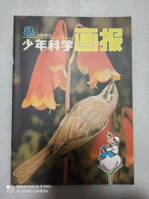 《少年科学画报》1984年第8期