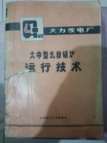 大中型煤粉锅炉运行技术