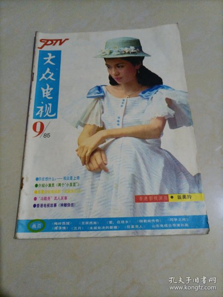 老杂志：大众电视（1985年第9期）