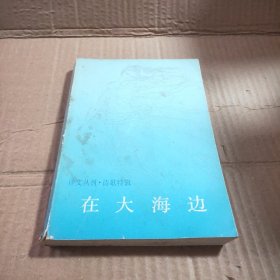 译文丛刊:在大海边