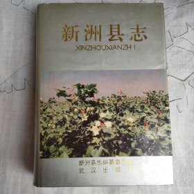 新洲县志