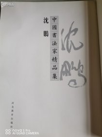 一本库存 中国书法家精品集——沈鹏 没有书皮 品相如图 2000年9月第一版 第一次印刷 定价2180元 特价300元包邮 平房