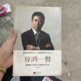 惊鸿一瞥：CCTV首席财经主播陈伟鸿自述