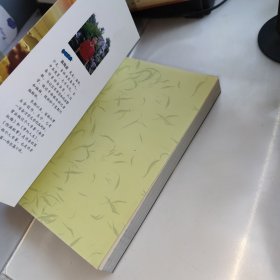 伪满狱事