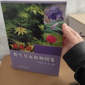 黄柏山野生草本植物图鉴