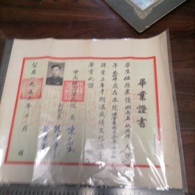 1953年 中南矿冶学院 毕业证书 院长陈新民