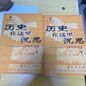 历史在这里沉思——1966-1976年记实（上下）