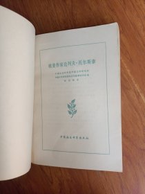 欧美作家 论列夫·托尔斯泰