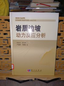 岩质边坡动力反应分析