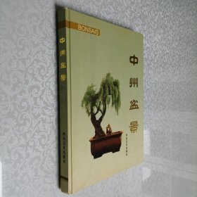 中州盆景 大16开 精装本