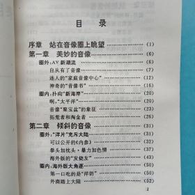 来自音像世界的警示——大陆音像圈实录