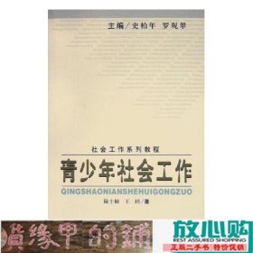 青少年社会工作社会工作系列教程陆士桢王玥社会科学文9787801905680