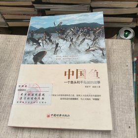 中国鱼：一个鱼头和千岛湖的故事